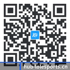 Android 全机型适配版 二维码